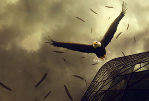 �����, �����, ������