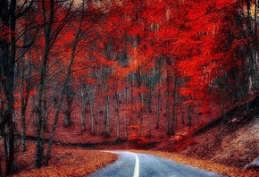 природа, дорога, фото, осень, серпантин, горная местность, красиво