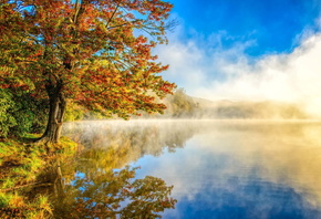 природа, озеро, утро, рыбалка, осень, вода, туман, отражение
