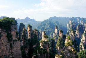 Горы Улинъюань, Национальный парк Чжанцзяцзе, горы, кустарники
