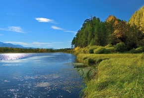 �����, ����, �����