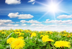 �������, ����, ����, �����, ����������, ����, ������, ������