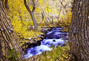 ���, ������ �����, ����� �����, �����