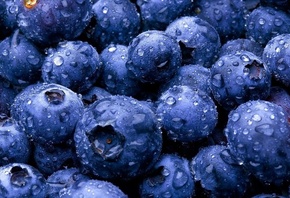 �������, ����, ��������