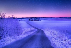 winter, path, snow, road, village, tree