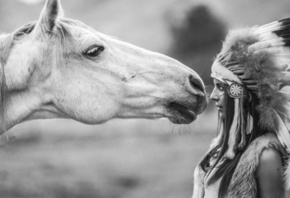 ����, ��������, ��� ����...