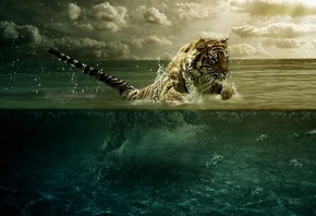 tiger, water, fish, ocean