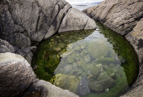 puddles, water, rock, ocean