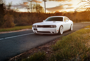 dodge, challenger, , , , , , 