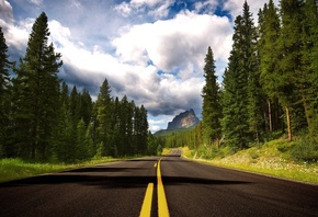 mountain, road, trees, summer