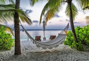 hammock, beach, holidays, palm, ocean, water