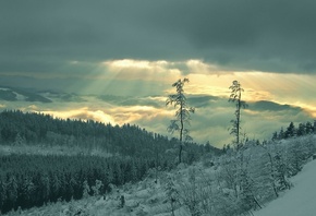 winter, mountain, snow, trees