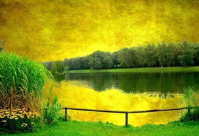 yellow, sky, scenary, lake, trees, green