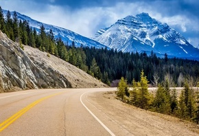 jasper, canada, park, road, tree, sky, mountain