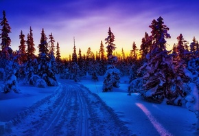 winter, mountain, snow, trees, road, sun, sky, blue