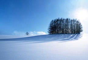 winter, mountain, snow, trees, road, sun, sky, blue