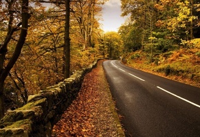mountain, road, trees, autumn