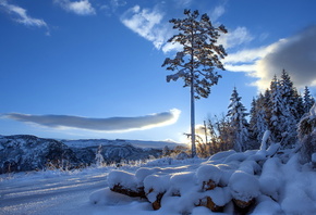 winter, mountain, snow, trees, road, sun, sky, blue