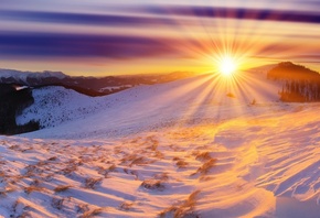 winter, mountain, snow, trees, road, sun, sky, blue