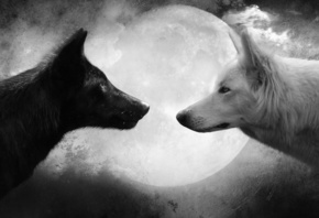 �����, �������, ����� ����� ���