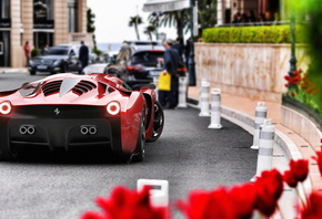 Ferrari, �������, ���� ���, ��������, ����, �������, �����