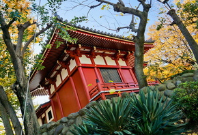 Япония, парк, пагода, красота