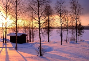 winter, trees, snow, path, mountain, moon, cabin