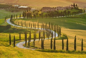tuscany, italy, trees, grass, sky