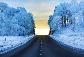 winter, trees, snow, path, mountain, ice