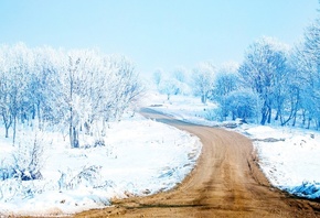 winter, trees, snow, path, mountain, road