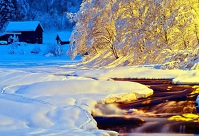 winter, trees, snow, path, mountain, moon, cabin