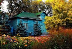 forest, house, tree, grass, flower, colors