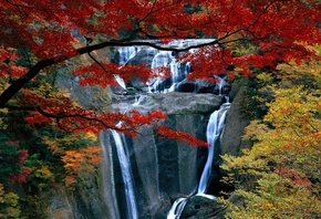 autumn, colors, trees, mountain, leaves, grass, waterfalls