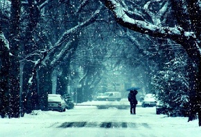 winter, trees, snow, path, street