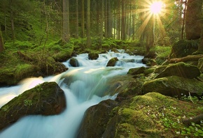 waterfalls, water, mountain, gras, forest