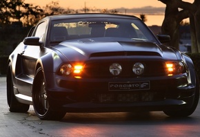 , ford mustang, , , 