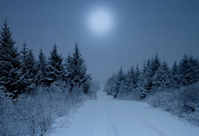 зима, снег, дорога, лес, пасмурно, красиво, дорога