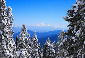 winter, snow, tree, sky, ice, blue