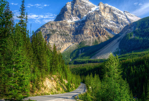 mountain, gree, grass, sky, road, tree