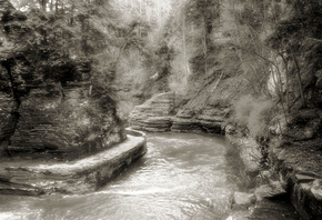 river, tree, black, white, water