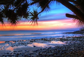 ocean, beach, tree, water, sky, purple