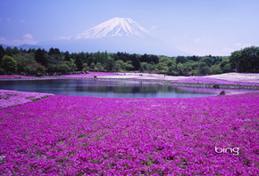 ������, ����, �������, ����, ����, �������, ����, bing, �����, �������