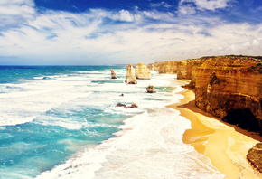 ocean, beach, tree, water, sky, sand