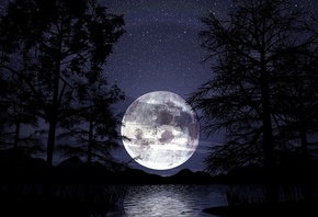 moon, tree, sky, dark, river, reflextion