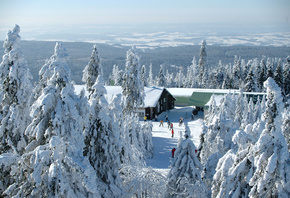 горы, курорт, снег, лес, туристы, лыжники, красиво, природа, зима