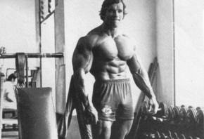 Arnold Schwarzenegger, спорт, кач, актер
