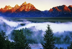 природа, горы, горная река, туман, лес, утро, красиво