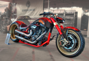 ��������, ����, �����