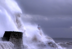 �����, �����, ������, ����