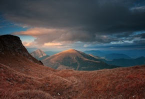 mountain, gree, grass, sky, road, tree, sunlight